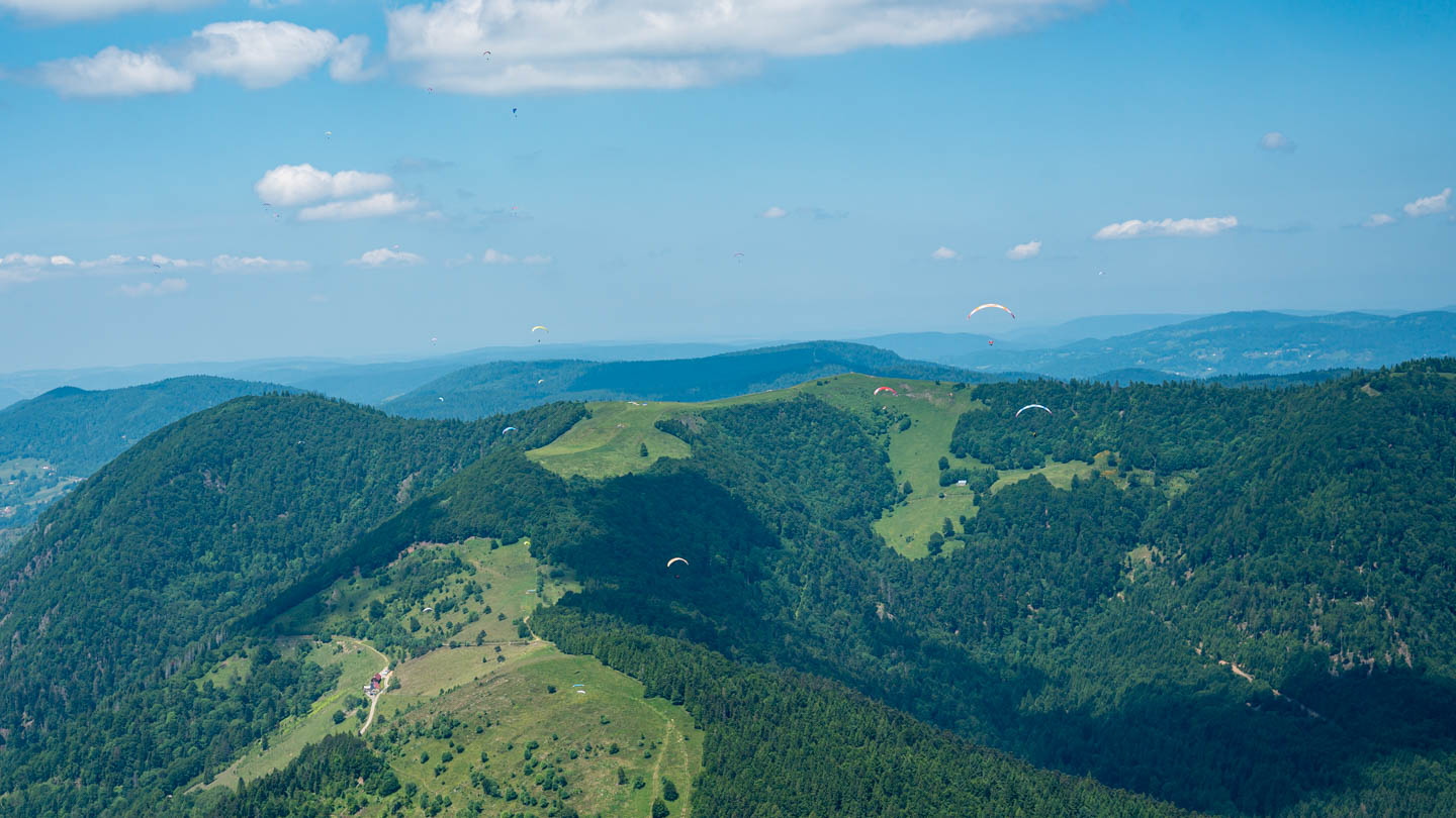 gemeinsam fliegen 20220526 001 2000 2